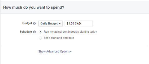 opciones de presupuesto para anuncios de Facebook