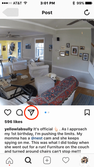 Si Nest quisiera contactar a este usuario de Instagram para obtener permiso para usar su contenido, podría iniciar la comunicación tocando el ícono de mensaje directo.