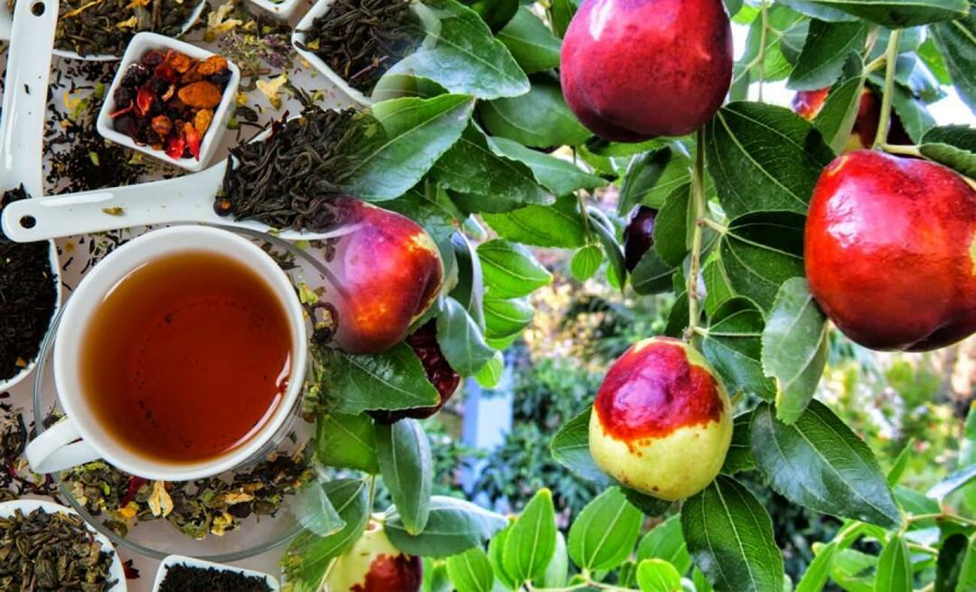 ¿Cuáles son los beneficios del té de azufaifo recomendado por Ibn Sina? ¿Para qué sirve el té de azufaifa?