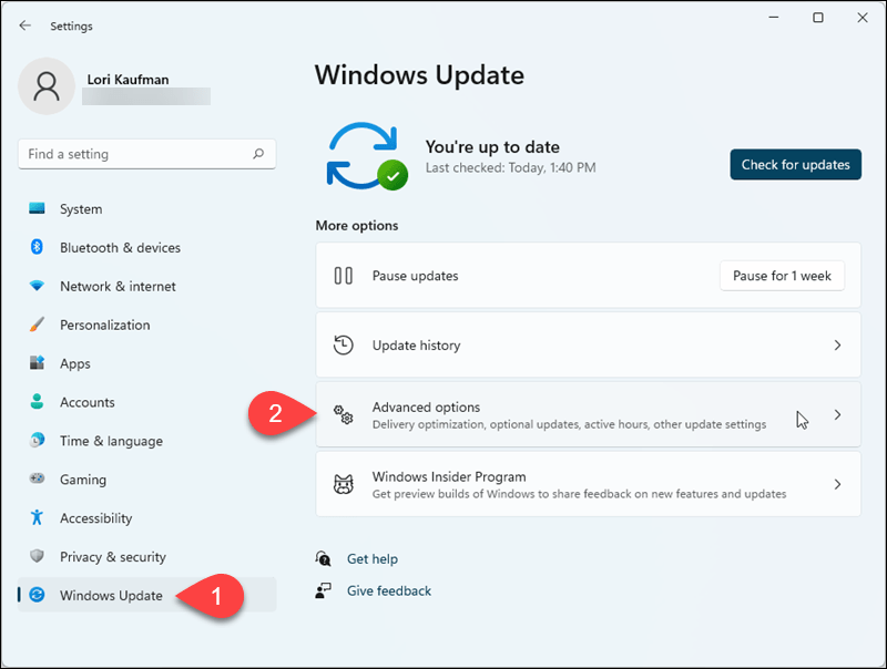 Vaya a Windows Update> Opciones avanzadas en Configuración de Windows 11