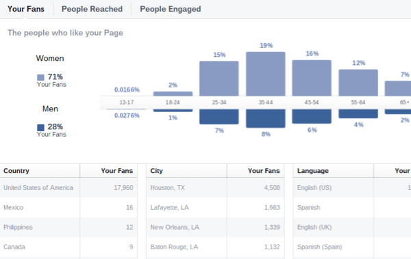 datos demográficos de la audiencia de facebook insights