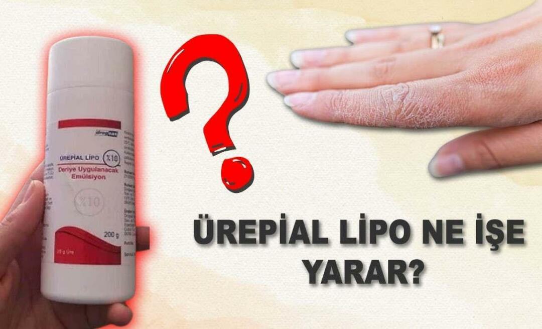 ¿Qué es la crema lipo urepial, qué hace? ¿Cuáles son los efectos secundarios? Urepial lipo crema precio 2023