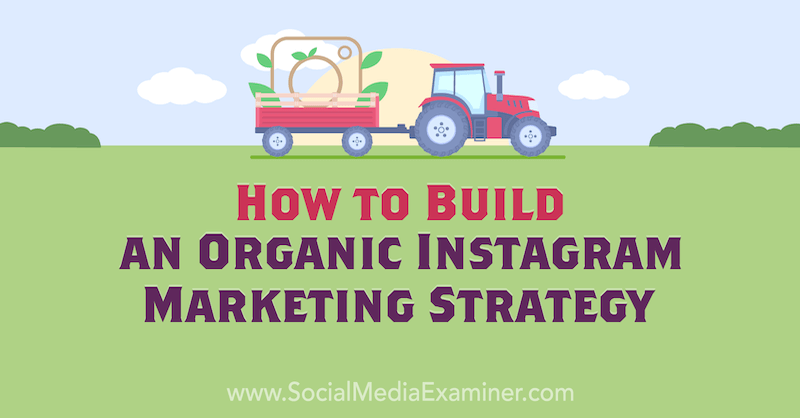 Cómo construir una estrategia de marketing de Instagram orgánica por Corinna Keefe en Social Media Examiner.