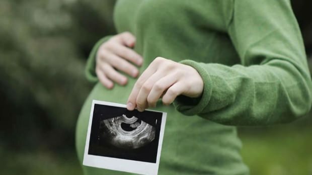 ¿Qué órgano se desarrolla primero en los bebés? Desarrollo del bebé semana a semana.