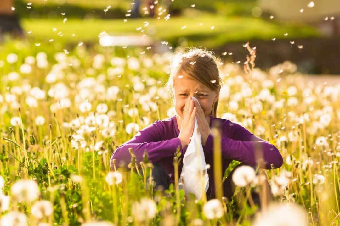 Qué considerar para proteger a los niños de las alergias estacionales