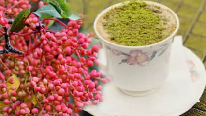 ¿Cuáles son los beneficios de la semilla Menengiç (Çitlembik)? ¿Qué hace el café Menengiç?