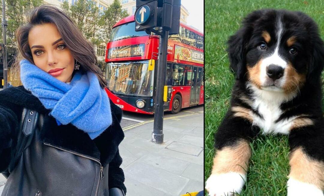 ¡La actriz Tuvana Türkay dio su vida por su perro!