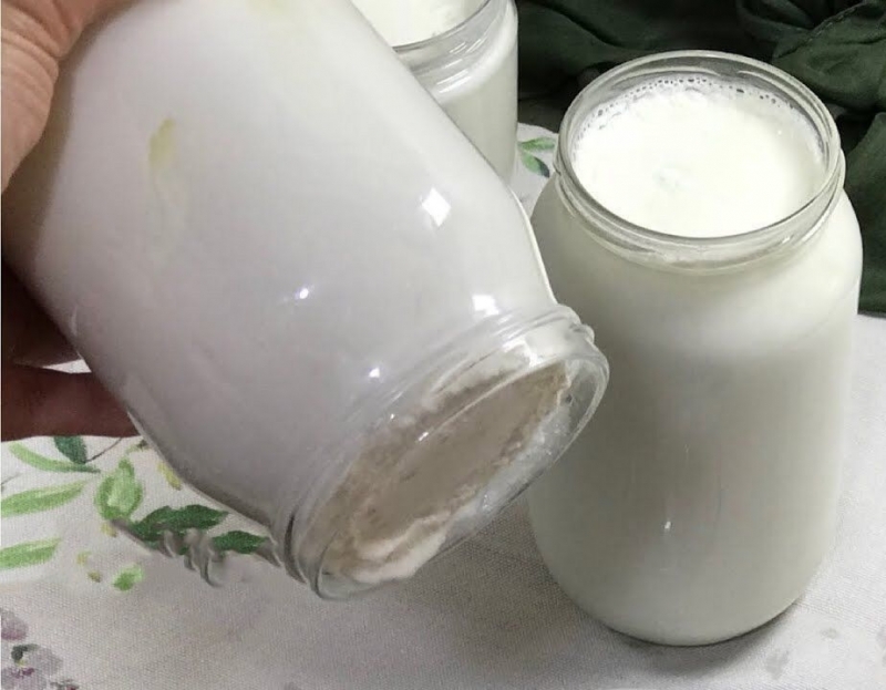 ¿Cuál es la forma más fácil de preparar yogur? ¡Haciendo yogur como una piedra en casa! El beneficio del yogur casero
