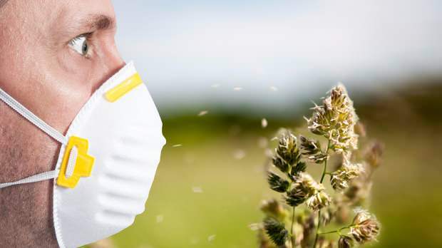 La alergia primaveral es causada por polen, mascotas, aumento de temperatura y polvo.