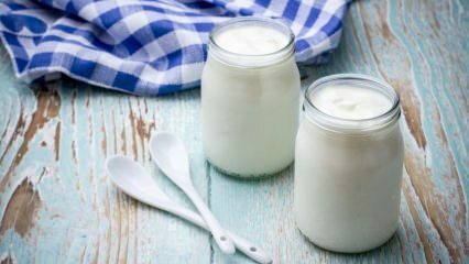 Si consume 2 tazas de yogur casero todos los días ...