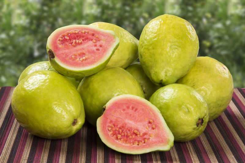 la fruta de guayaba pasa como fresa 