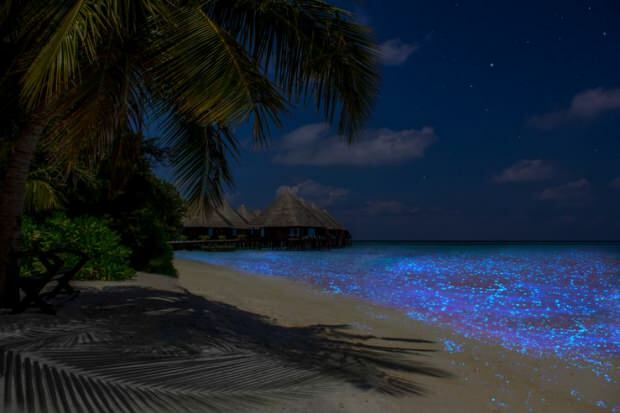 Maldivas Vaadhoo Island