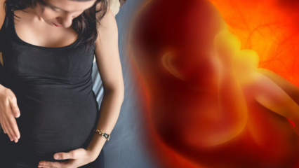 ¿Está menstruando durante el embarazo? Causas y tipos de sangrado durante el embarazo.