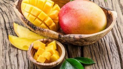 ¿Cuáles son los beneficios del mango? ¿Para qué enfermedades son buenos los mangos? ¿Qué pasa si consumes mangos regulares?