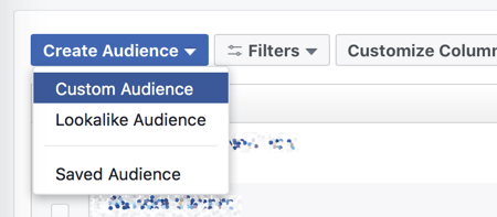 Crea una audiencia personalizada en Facebook Ads Manager.
