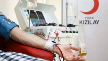 ¿Dónde y cómo donar sangre? ¿Cuáles son las condiciones para donar sangre?