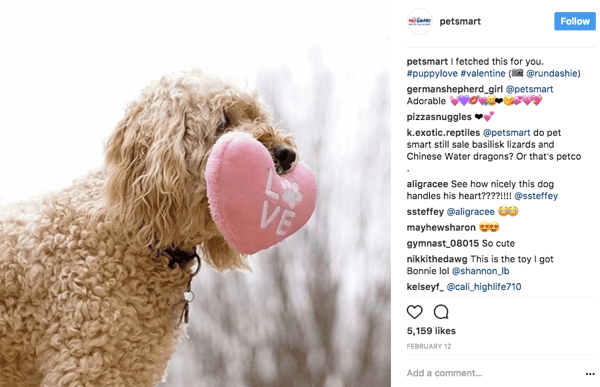 Cuando PetSmart vuelve a compartir las fotos de los usuarios en Instagram, dan crédito de la foto al póster original en la leyenda.
