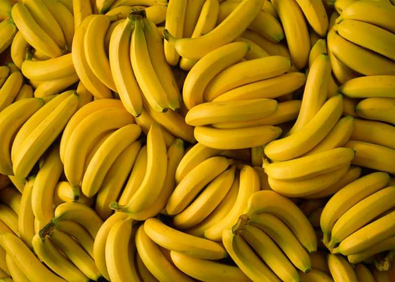Las cáscaras de plátano se utilizan en muchas áreas con fines sanitarios.