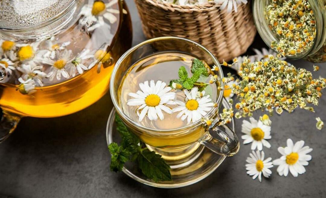 ¿Cómo secar la manzanilla? ¡Consejos para secar la manzanilla en casa! Beneficios del té de manzanilla