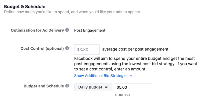 Paso 5 de cómo configurar una campaña de participación de Facebook para promover la encuesta de clientes