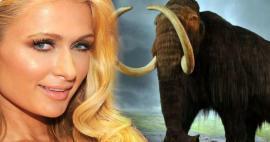 ¡Paris Hilton invirtió su dinero en mamuts! 