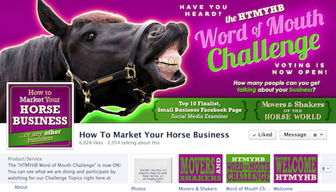 cómo comercializar su negocio de caballos