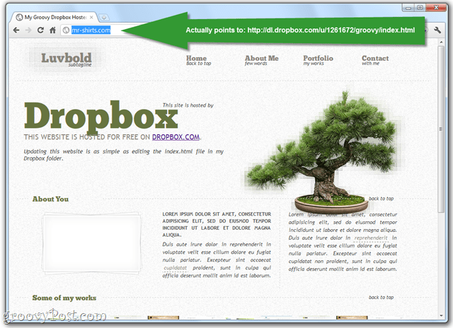 publicar páginas web a través de la carpeta pública de Dropbox