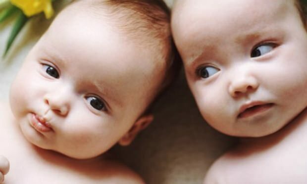 Si hay gemelos en la familia, ¿aumentarán las posibilidades de embarazo gemelar? ¿Caballos de generación?