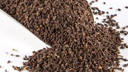¿Cuáles son los beneficios de la semilla de Uzerlik? ¿Cómo reponer las semillas del té Üzerlik?