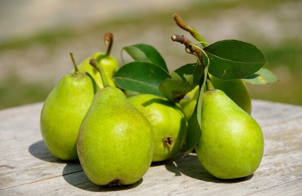 Previene las molestias: ¿Cuáles son los beneficios de la pera? Cuantas peras hay ¿Para qué sirve la pera?