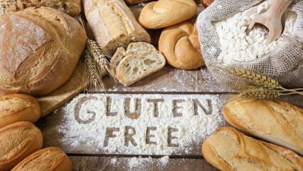 ¿Qué es una dieta sin gluten, cómo se hace? Dieta saludable sin gluten