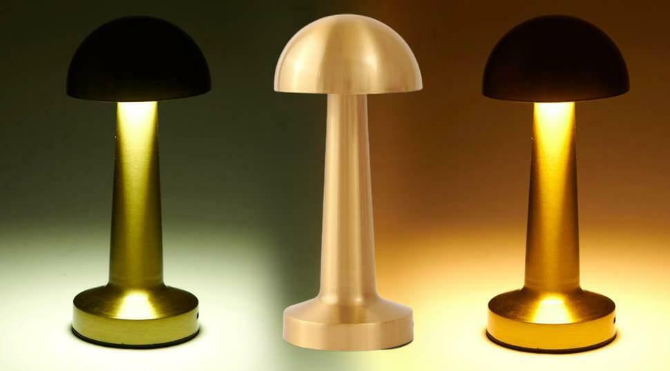 Lámpara de mesa LED recargable Forlife FL-8055
