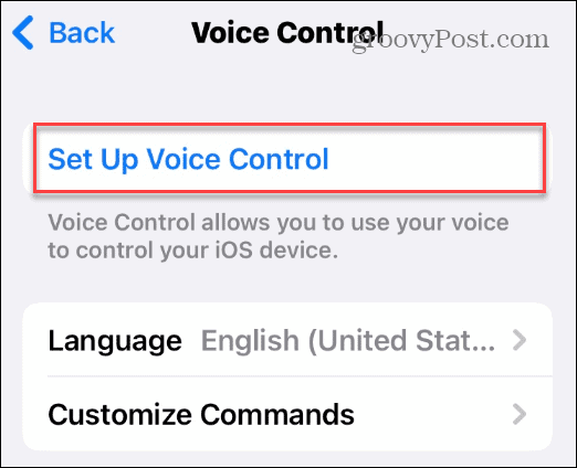Desbloquea tu iPhone con tu voz