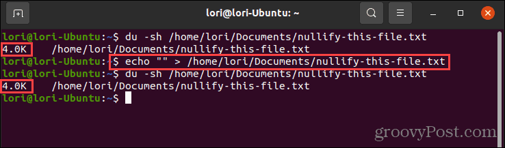 Usando el comando echo con comillas vacías en Linux