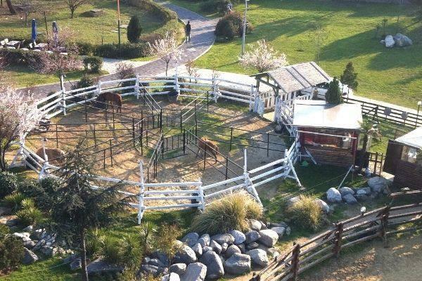 Vista lejana de My Village Horse Farm 