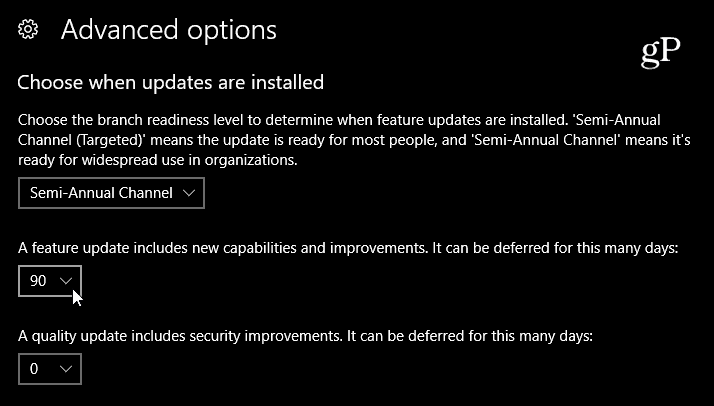 Seleccione el retraso de la actualización de características de Windows 10