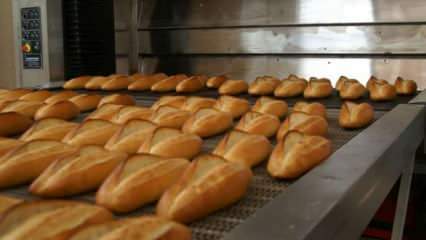 Los expertos advirtieron: poner los panes en el horno a 90 grados durante 10 minutos