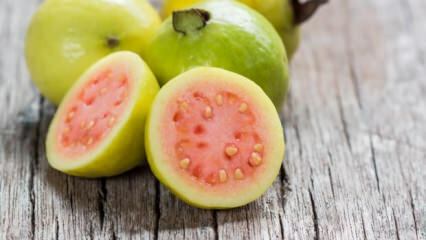 ¿Qué es la fruta de guayaba? Cuales son los beneficios?
