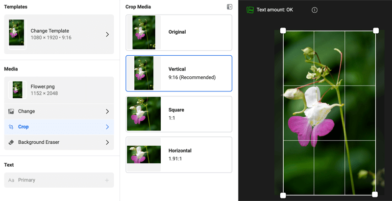 Cuadro de diálogo de plantillas de anuncios de Historias de Instagram que muestra opciones de edición