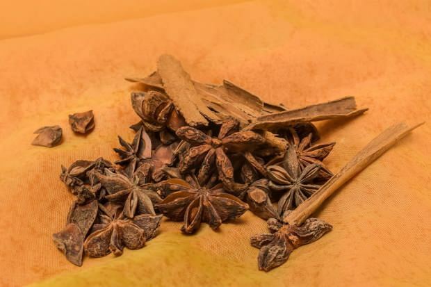 ¿Cuáles son los beneficios de la semilla de anís? ¿Cómo hacer té de anís y qué hace?