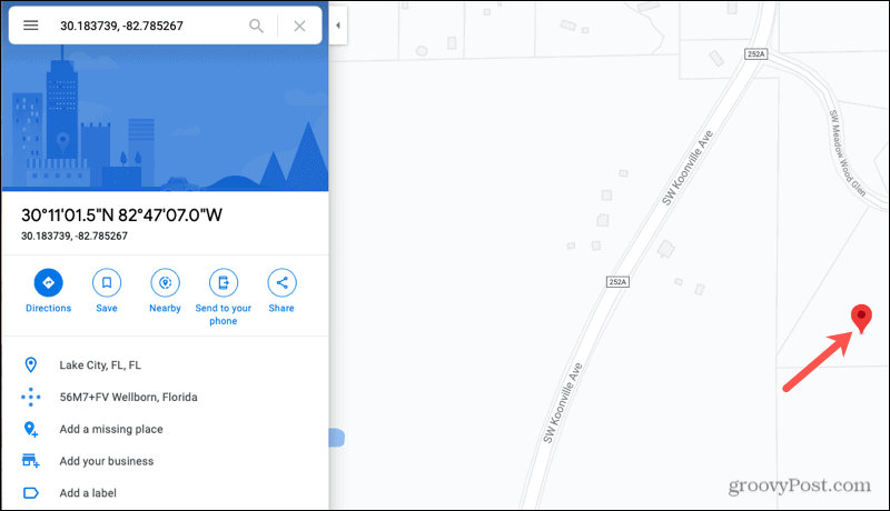 Detalles de ubicación Google Maps Online