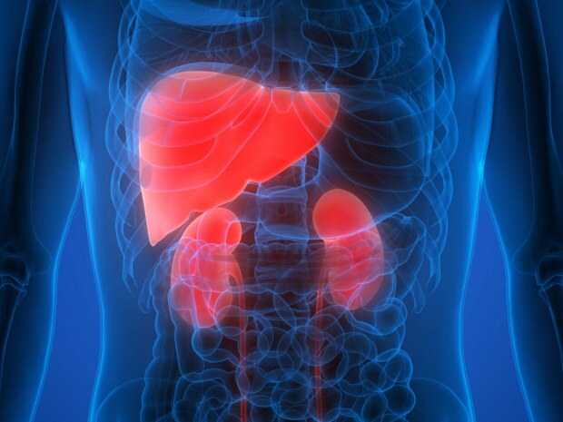 ¿Cuáles son los síntomas del cáncer de hígado? ¿Existe tratamiento para el cáncer de hígado?