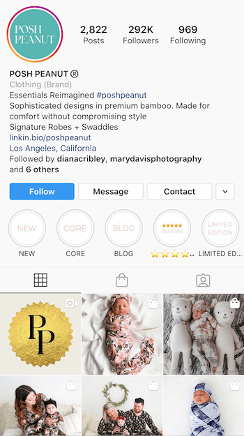 ejemplo de biografía de Instagram optimizada para empresas