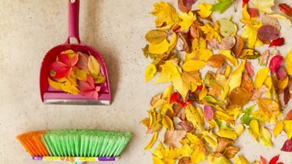 Métodos prácticos para la limpieza en otoño.