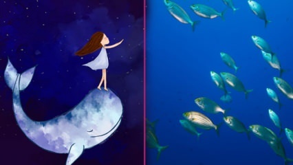 ¿Qué significa ver peces en un sueño? Según Diyanet, el significado de pescar en un sueño ...