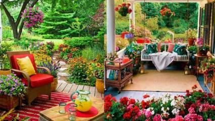 ¡Flores que puedes usar en tu jardín y balcones en otoño!