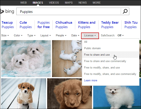 Encuentre imágenes en Bing