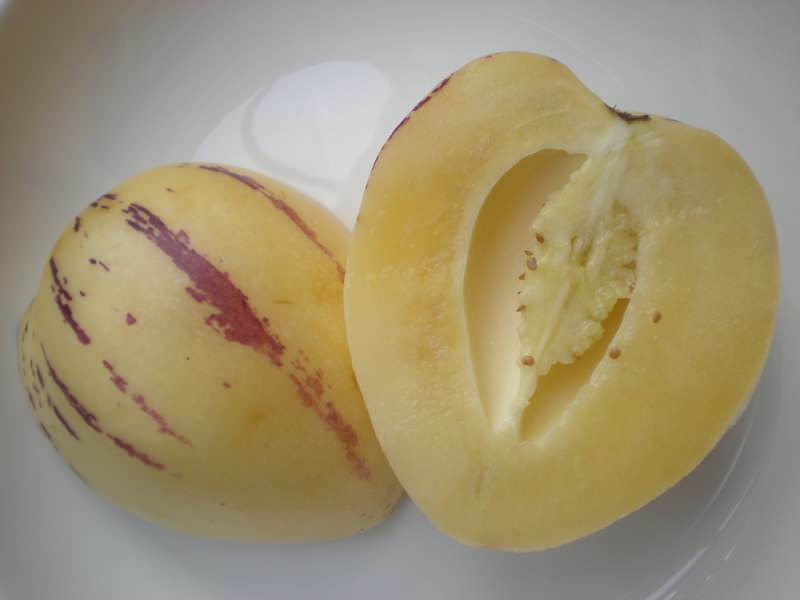 la fruta pepino se corta como un melón como imagen