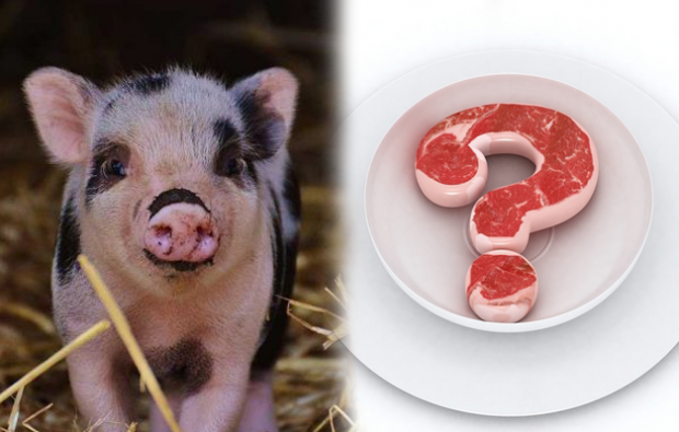 ¿Está prohibido comer carne de cerdo?