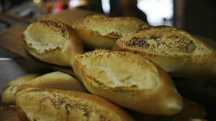 ¿Cómo se evalúa el pan duro? Recetas hechas con pan duro.